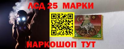 шишки Изобильный