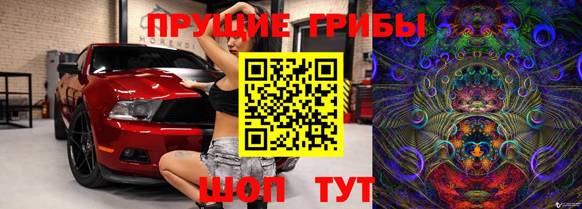 Псилоцибиновые грибы Cubensis  Вход с VPN  купить наркоту  Нефтекумск 